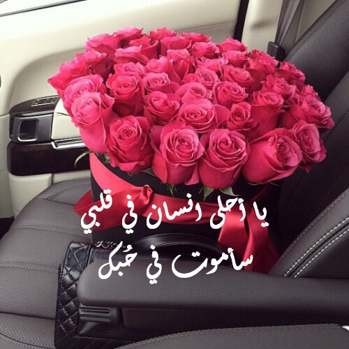 ورد أحمر مكتوبة 49