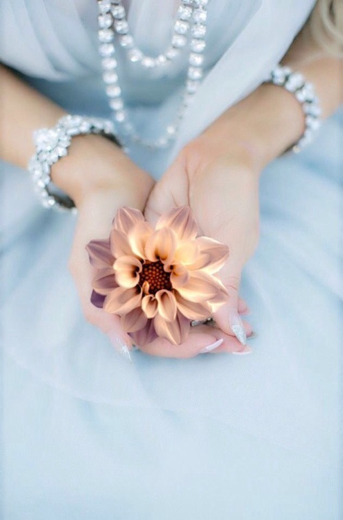 ورد رومانسي 32ح