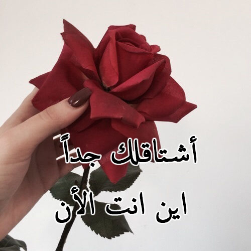 ورد وشوق 55