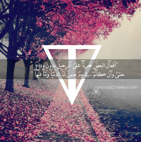 رومانسية بالصور 9ه9ه