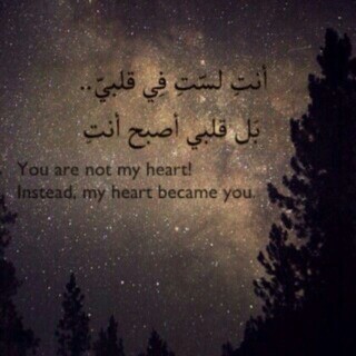 رومانسية جديدة 32مك