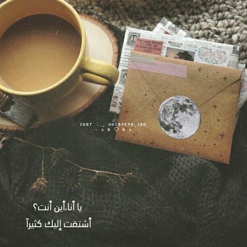 شوق رومانسية بالصور0خ7