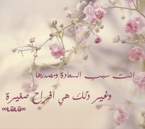 رومانسي مدح 55ل