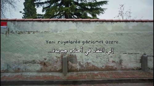 نهاية الحب 33
