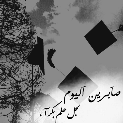 الصور التخرج 4