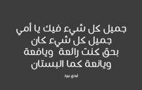 قصائد عن الام المتوفية 18 قصائد عن الام المتوفية