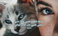 شوق للحبيب