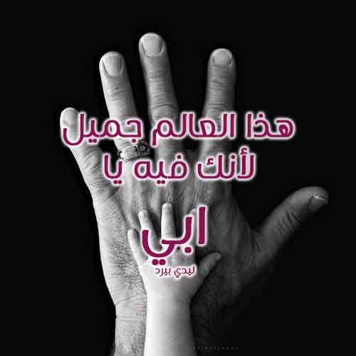عن الاب جميلة