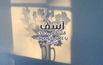 اسف