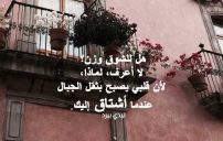 شوق ولهفة