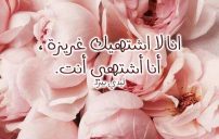 اشتهيك حبيبي