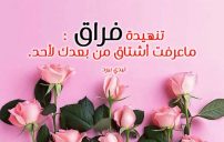 شوق بعد الفراق