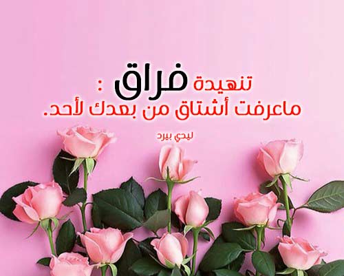 شوق بعد الفراق