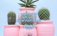 شوق ولهفه