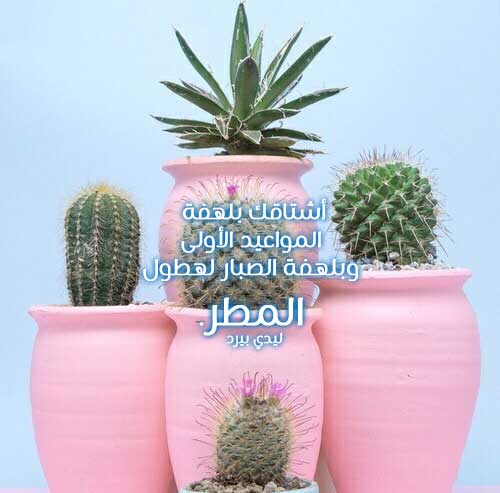 شوق ولهفه