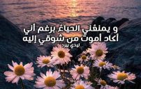 شوق ولهفة