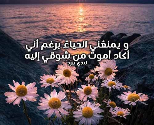 شوق ولهفة