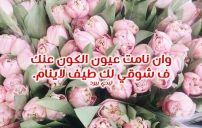 اشتياق