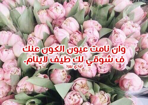 اشتياق