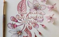 شوق وغزل يجنن