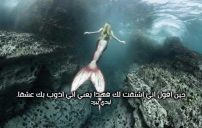 شوق تذوب