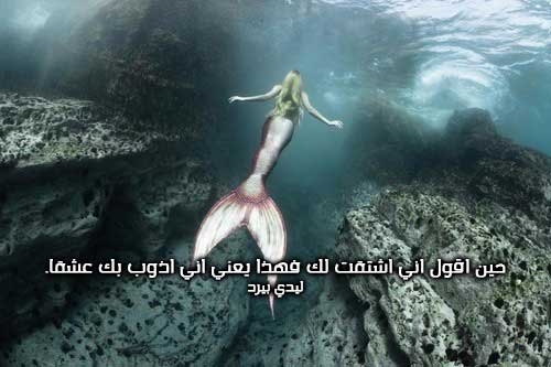 شوق تذوب