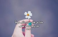 شوق روعه