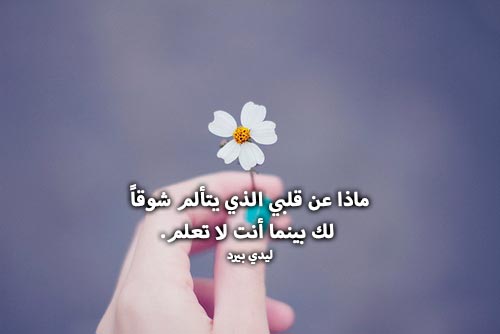 شوق روعه