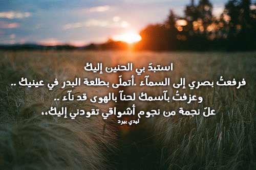 شوق طويلة