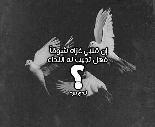 شوق تهز وتقطع القلب