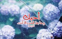 حالات حب قصيرة