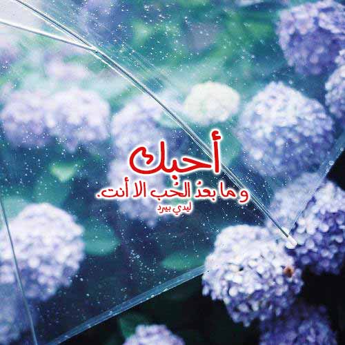 حالات حب قصيرة