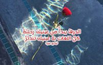 شعر حب فصيح