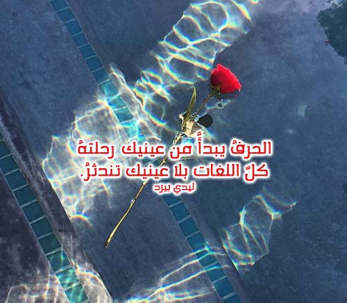 شعر حب فصيح