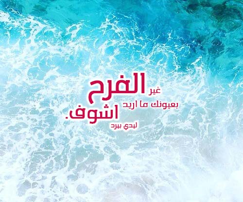 حالات حب للواتس