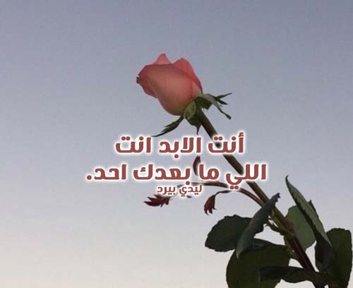 كلمات حب قصيرة جداً