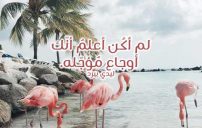 اقوى كلام حب حزين