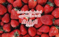 حب للواتس قصيرة