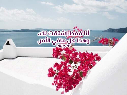 شوق قصيرة جدا