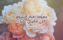 صباح الشوق