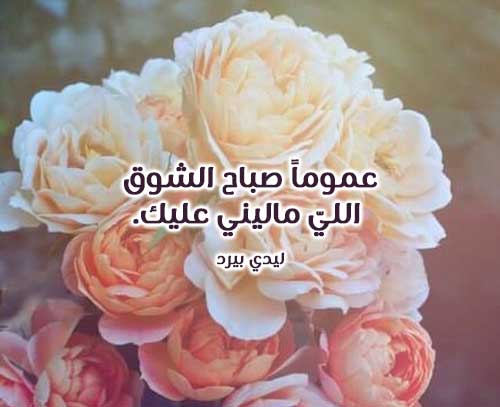 صباح الشوق