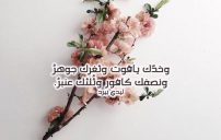 حب فصيح