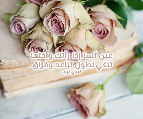 شوق فصيح