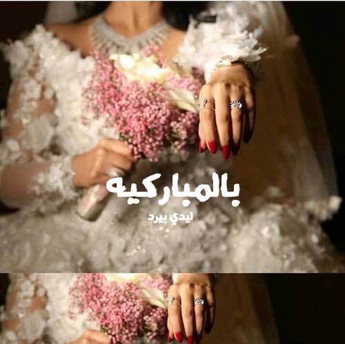 بالمباركيه 3
