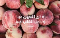 حلوة عن الحياة