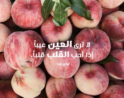 حلوة عن الحياة