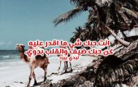 غزل بدوية