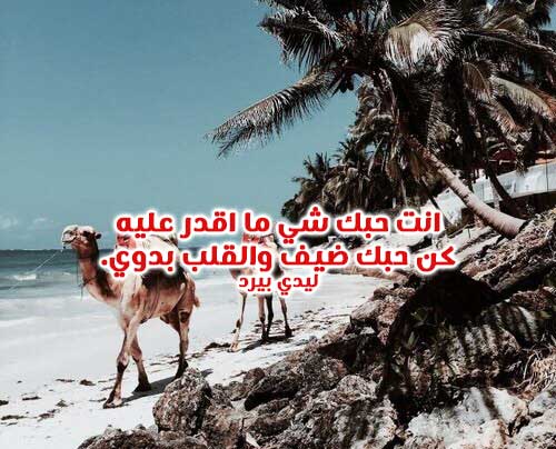 غزل بدوية