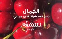 حلو وجميل