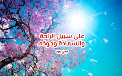 رومانسي غزل